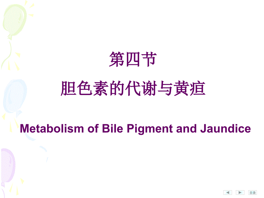 胆红素代谢_第1页