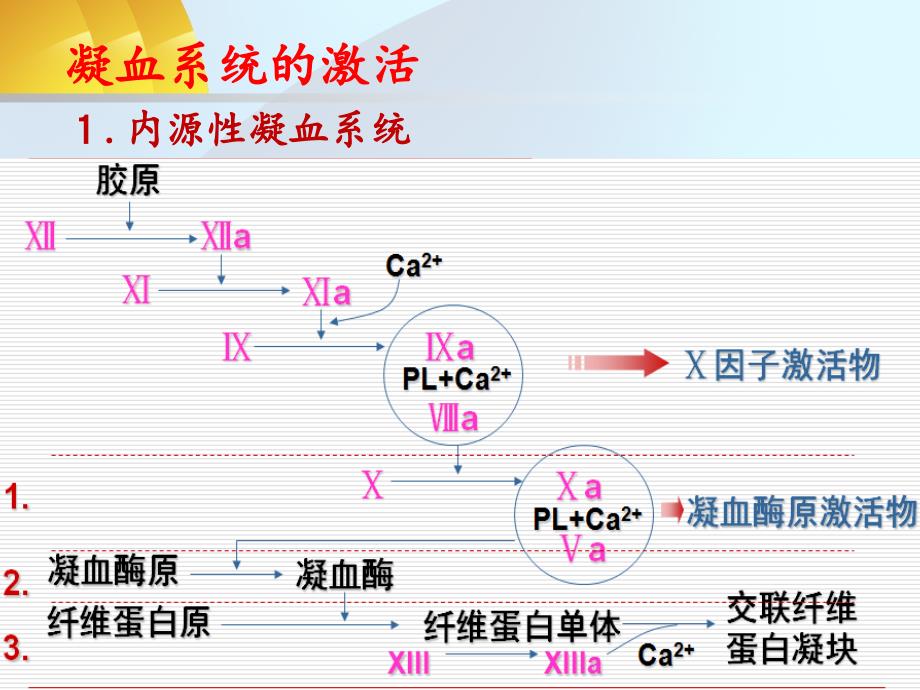 致病因子概念纤溶亢进同时继发器官功能障碍出血贫血休克微循环中_第2页