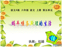 蜗牛慢条斯理的生活(公开课课件)