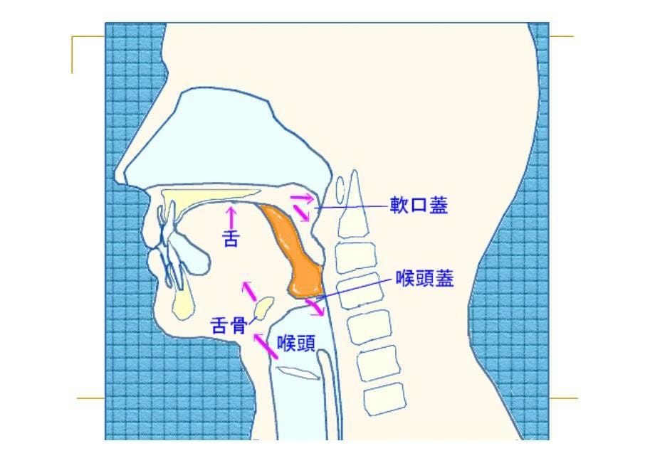 失效模式和效应分析(fmea)在老年中风吞咽功能障碍患者预防误吸中应用_第5页