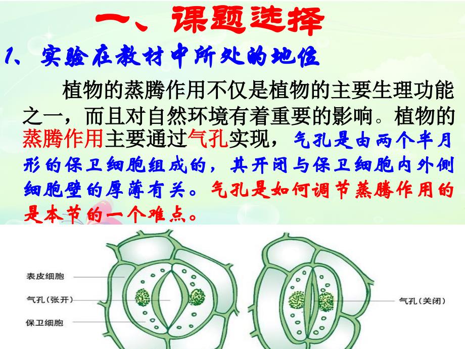 气孔的张开、闭合原理模拟实验_第3页