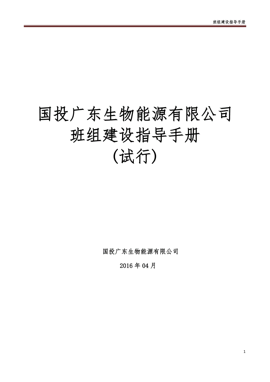 国投广东生物能源有限公司班组建设指导手册(试行)_第1页