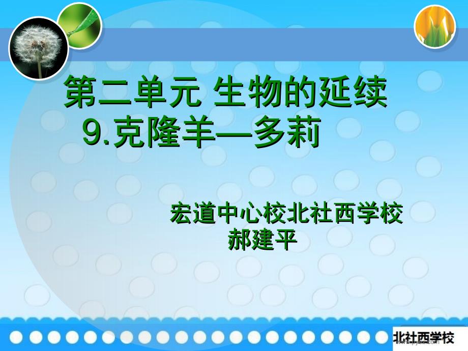 我的克隆羊多利_第1页