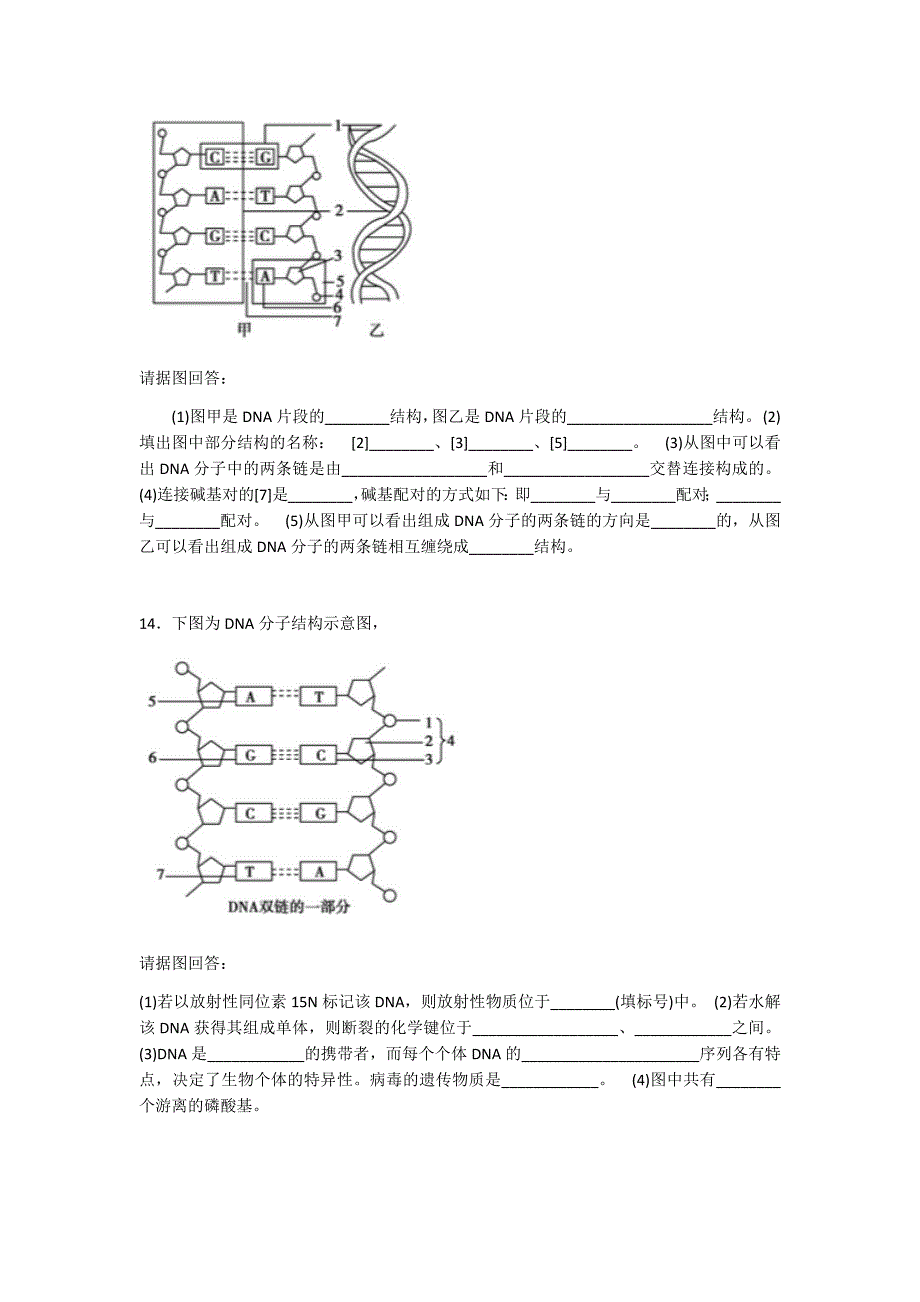 dna分子结构练习题(liumiao)_第4页