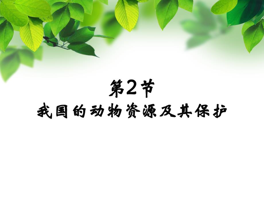 17.2我国的动物资源及保护_第1页