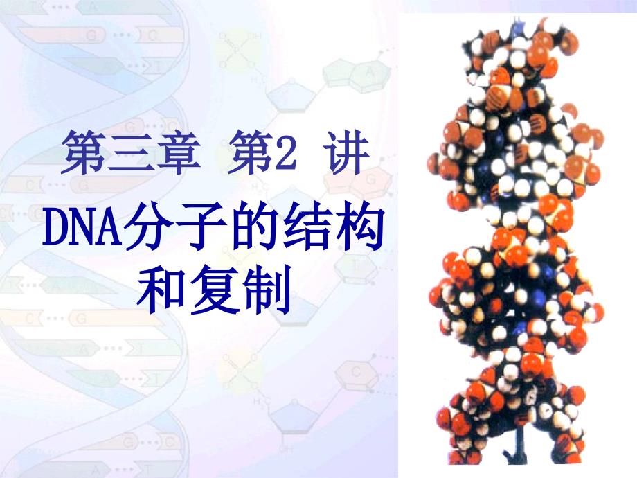 dna分子的结构与复制(一轮复习)_第1页