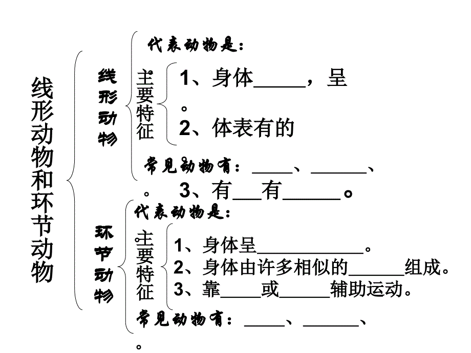 软体动物和节肢动物-(新)_第1页