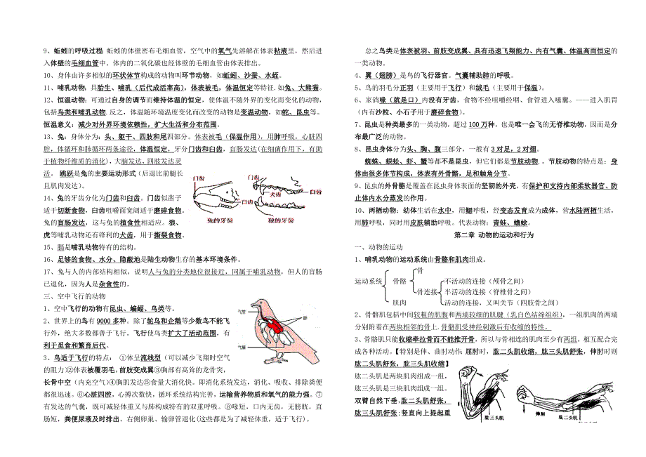 人教版-八年级-生物-上册-知识点归纳-完美版_第2页