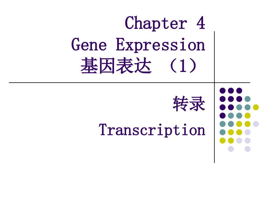 分子生物学chapter-4-转录_第1页