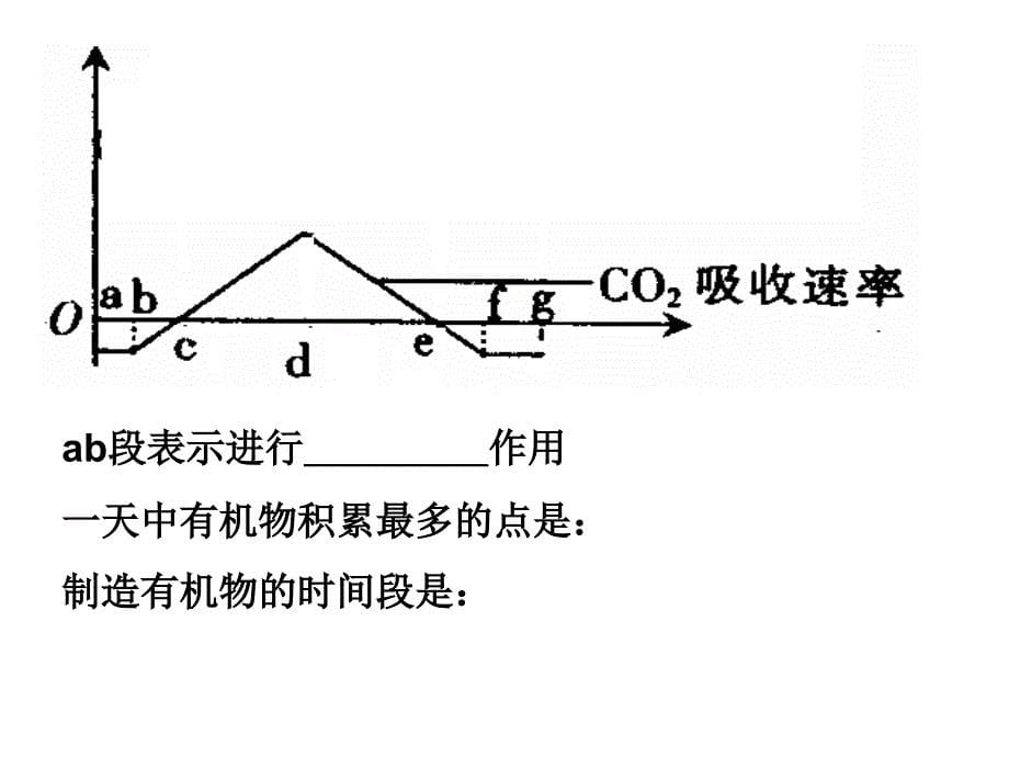 密闭容器中光合作用_第5页