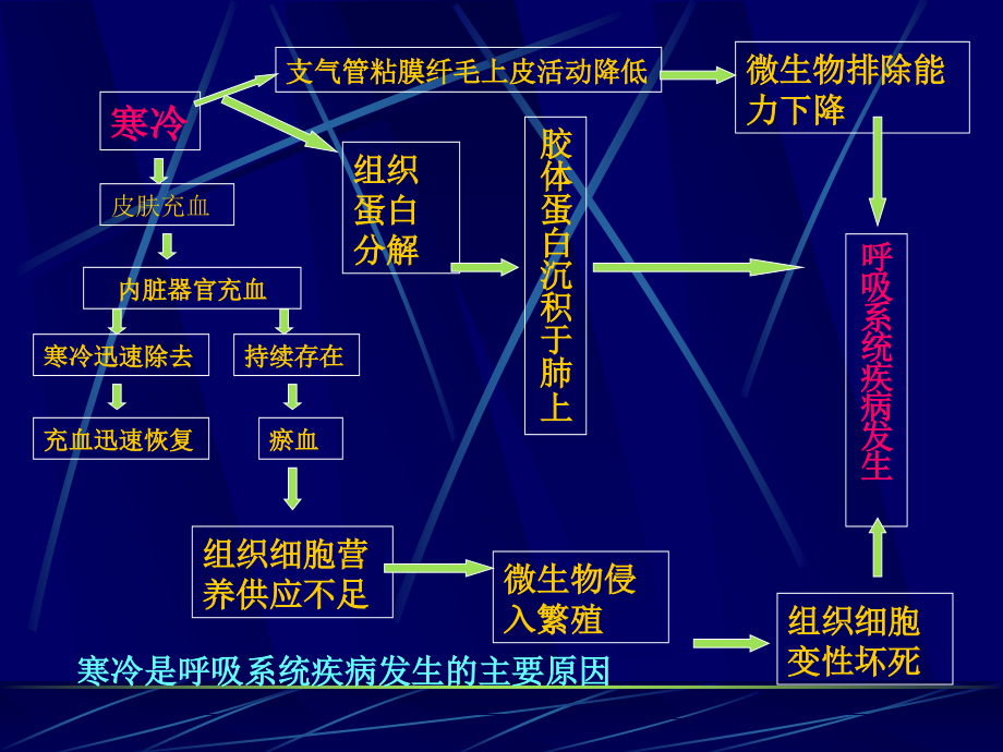 动物内科病(呼吸系统疾病)_第3页