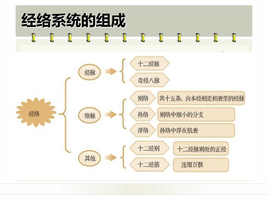 中医常用穴位定位及主治_第2页