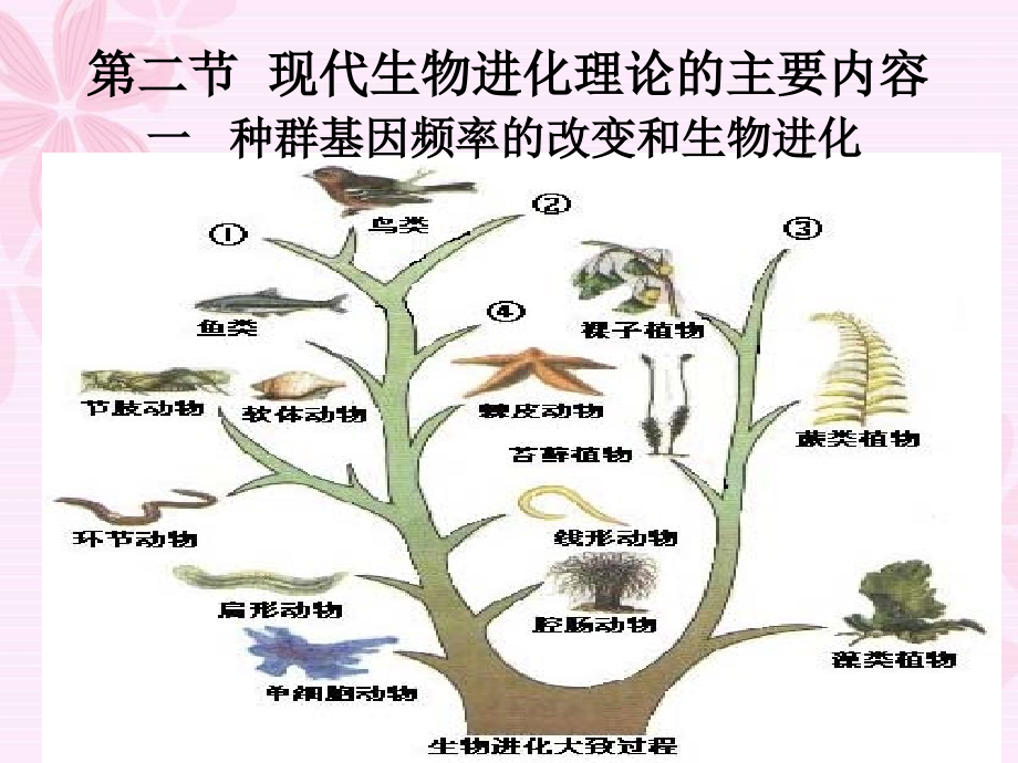 7.2现代生物进化理论的主要内容(公开课)_第1页