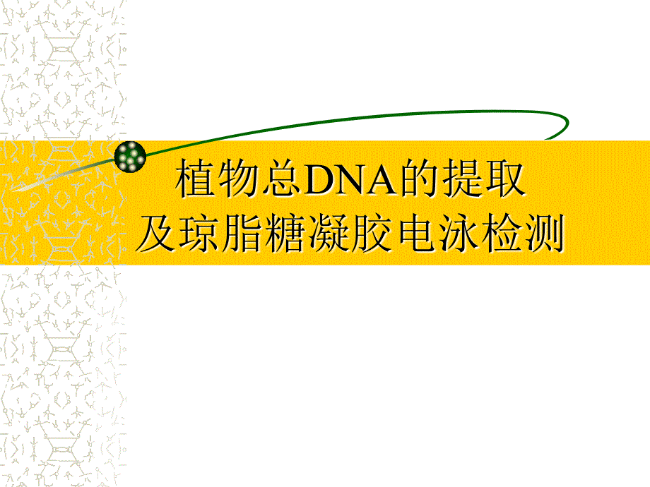 实验-植物dna提取及检测_第1页