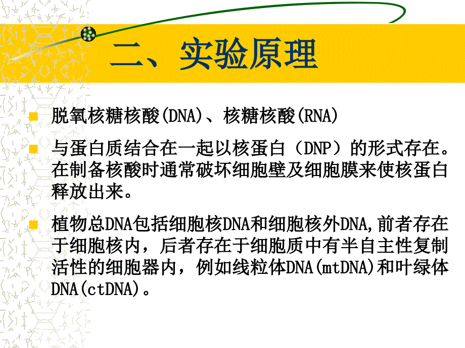 实验-植物dna提取及检测_第4页