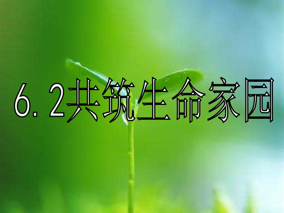 6.2共筑生命家园_第1页