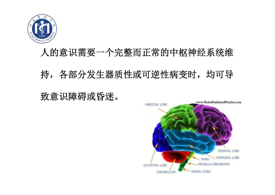 急危重症护理学妇产科急救总则(二)_第3页