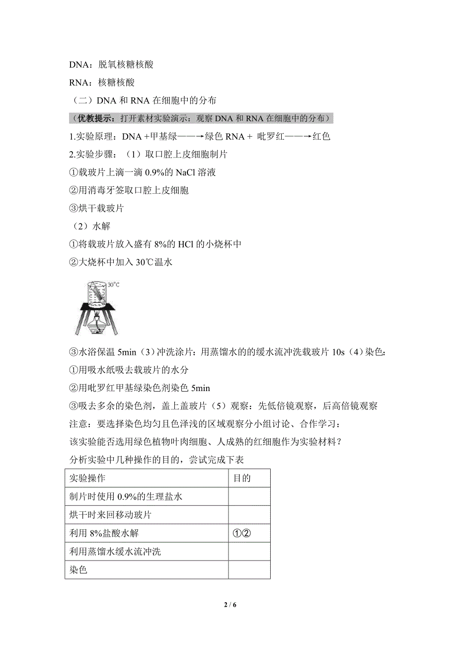 《遗传信息的携带者——核酸》教案_第2页