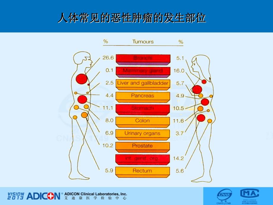 肿瘤标志物检测影响因素和临床应用_第3页