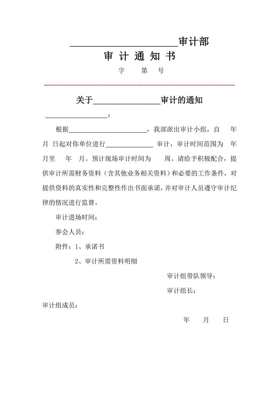 内部审计常用表格文书_第5页