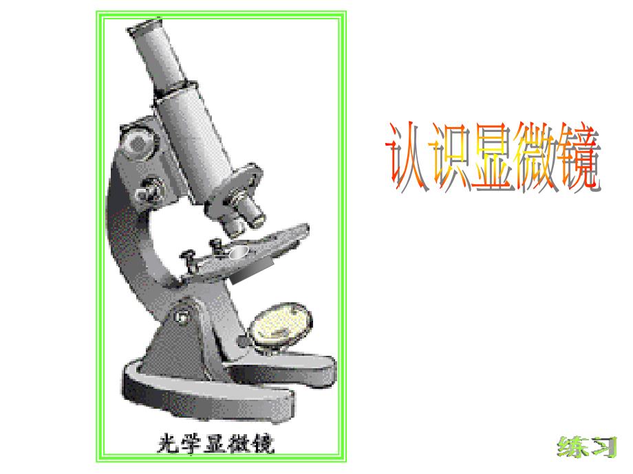 初一生物显微镜的使用_第3页