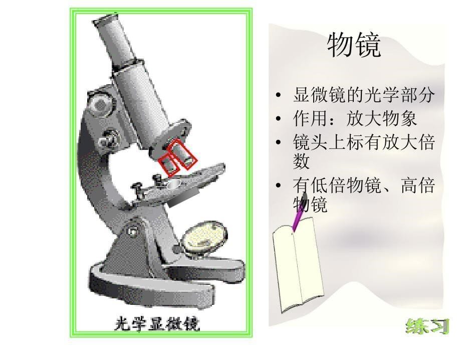 初一生物显微镜的使用_第5页