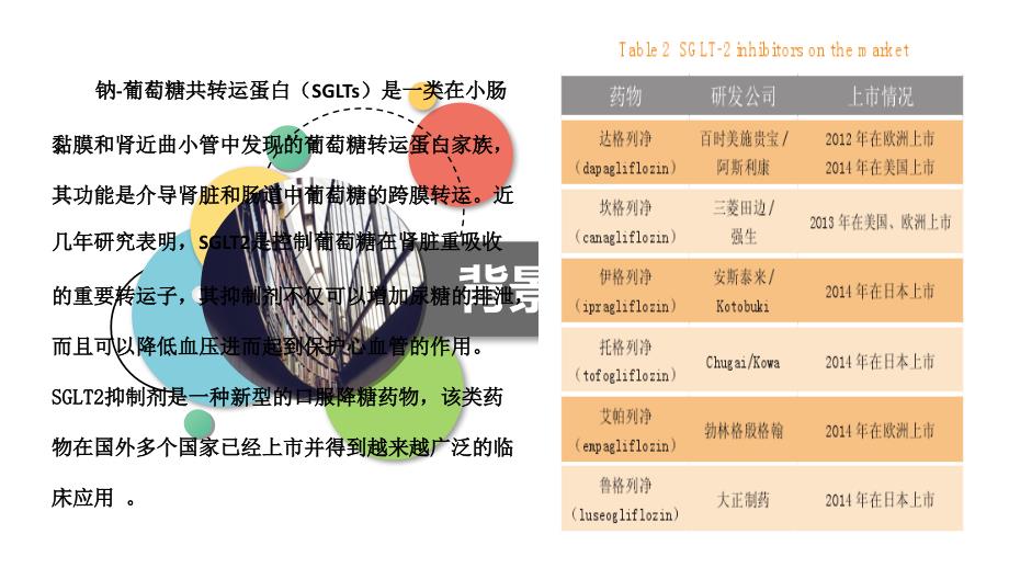 sglt2抑制剂临床应用_第4页