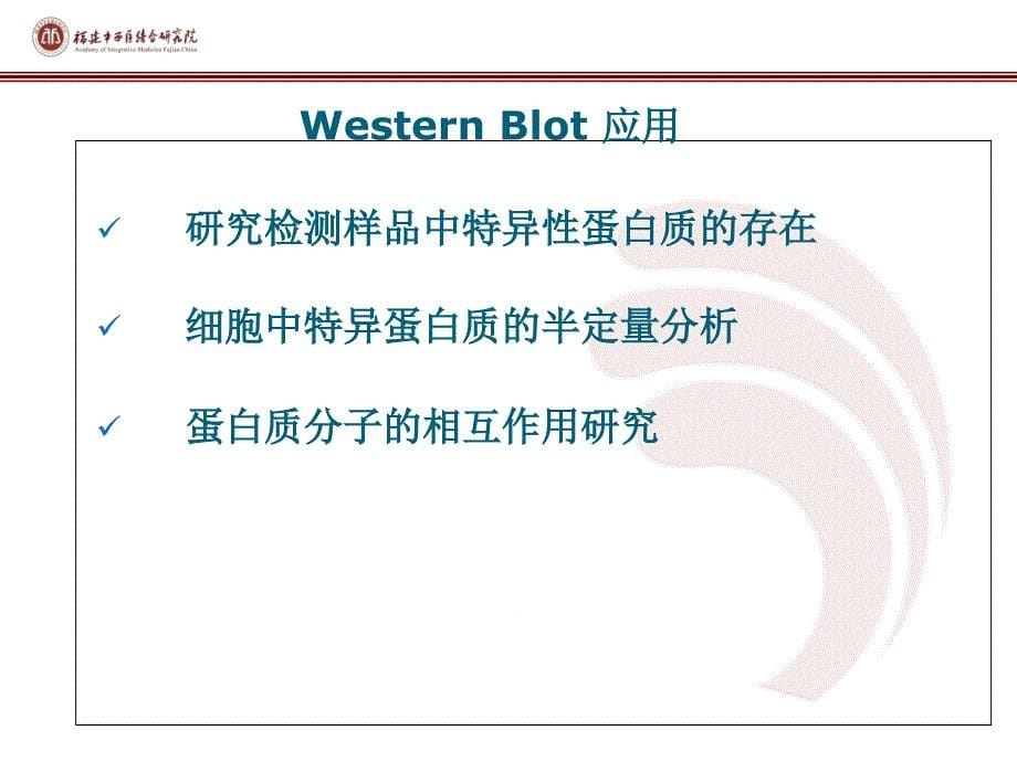 western-blot-教学_第5页