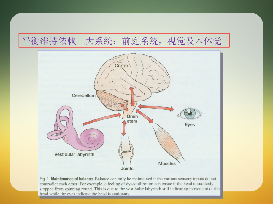 良性阵发性位置性眩晕中西结合治疗_第2页