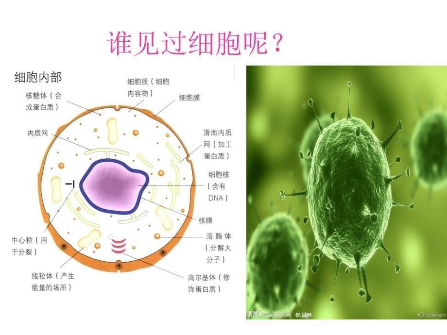 生命安全2_第5页