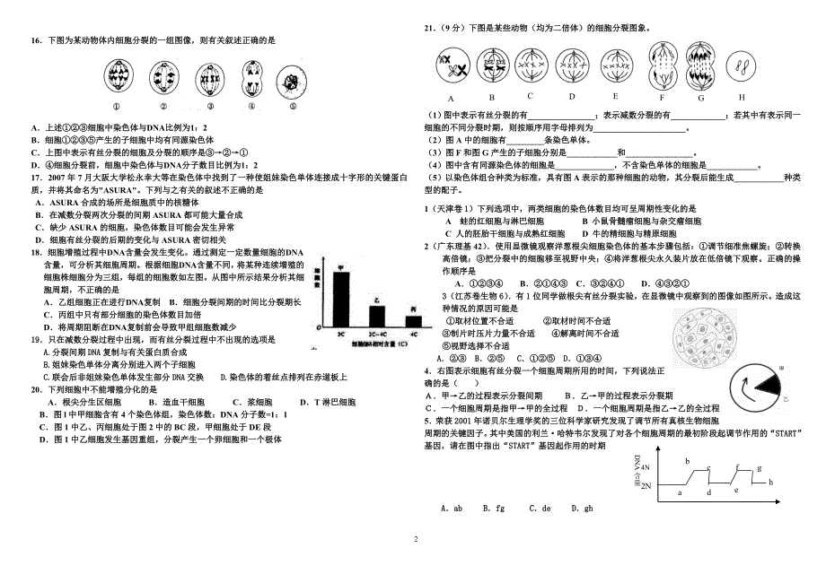 细胞增殖练习题及答案_第2页