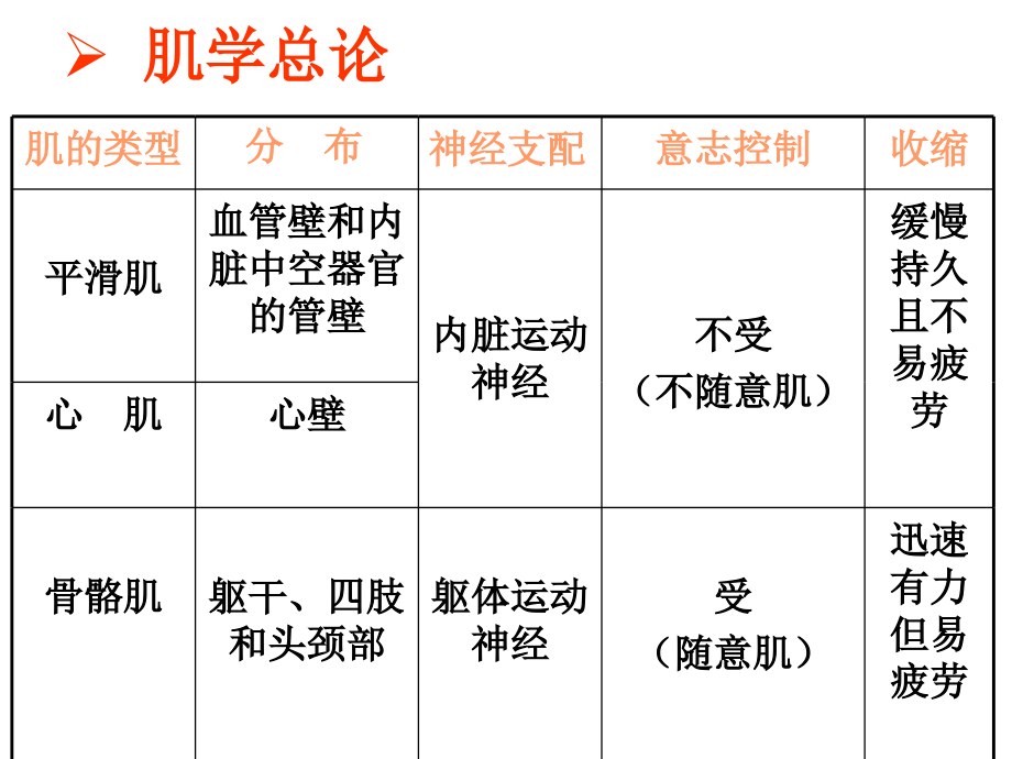 肌肉-人体解剖生理学_第4页