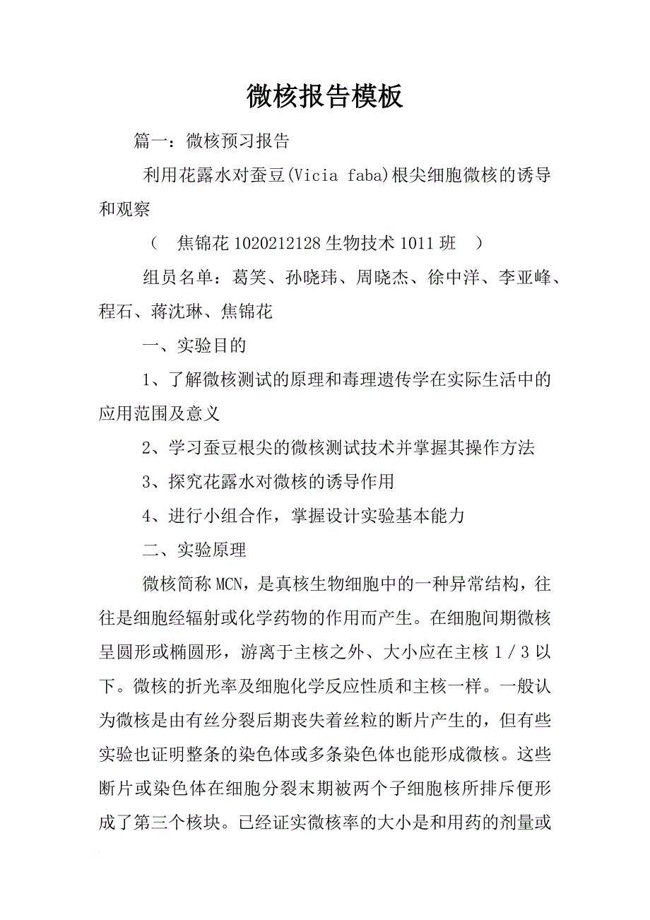 微核报告模板_第1页