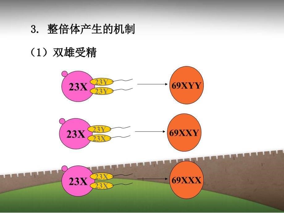 染色体病_第5页