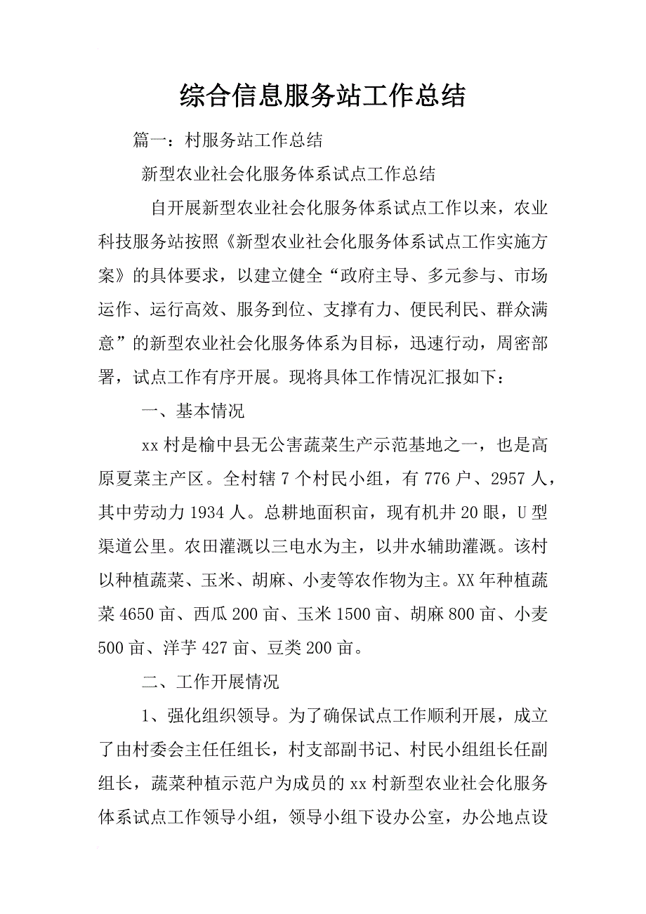 综合信息服务站工作总结_第1页