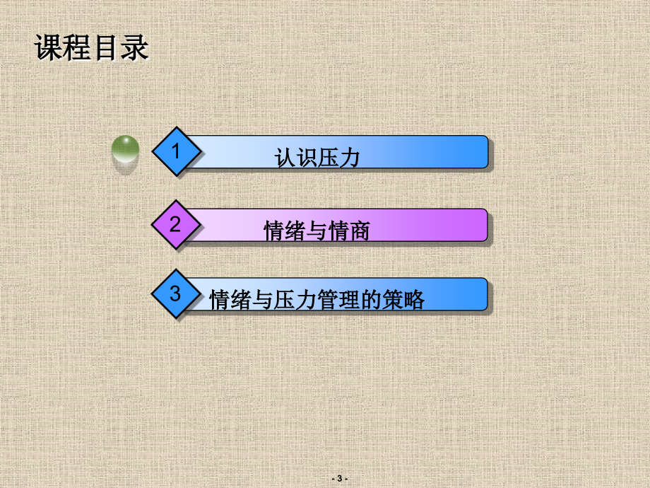 自我情绪与压力管理-ppt_第3页