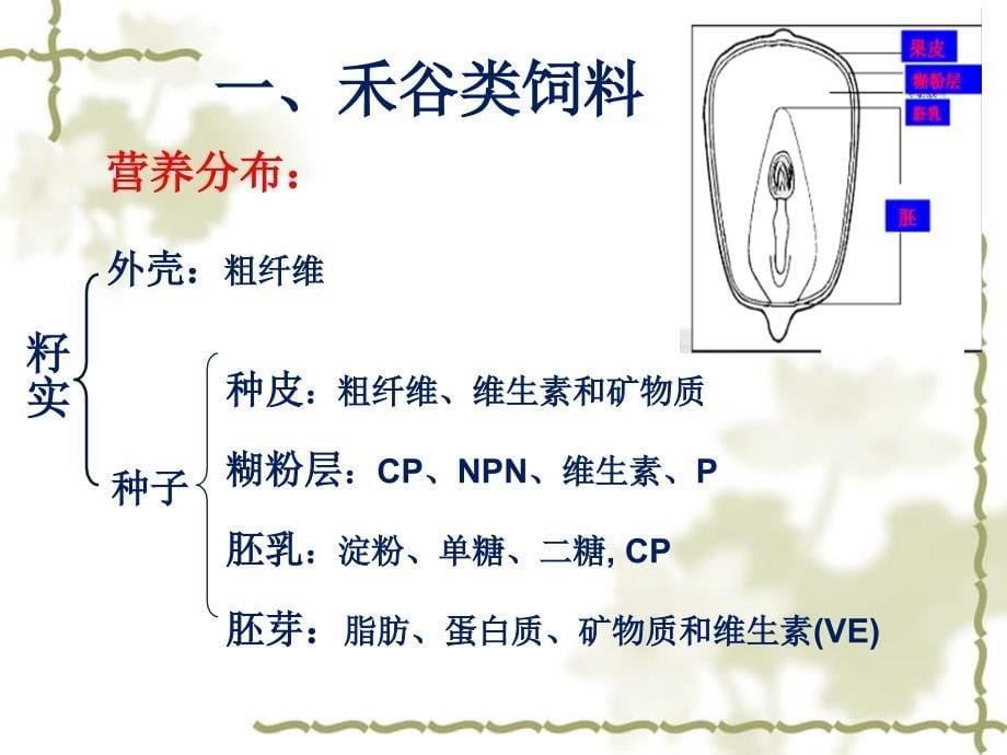 能量饲料1_第5页