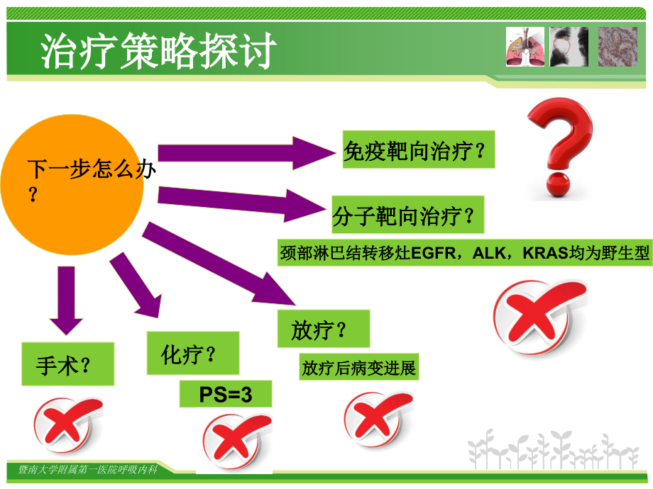 肺癌的免疫靶向治疗-蔡兴东_第3页