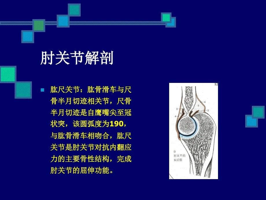 肘关节康复_第5页