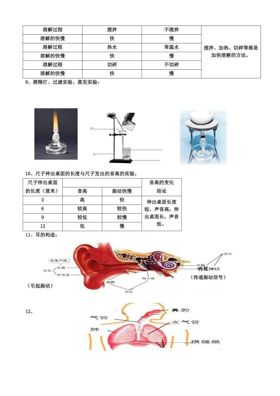 教科版小学四年级科学上册资料_第5页