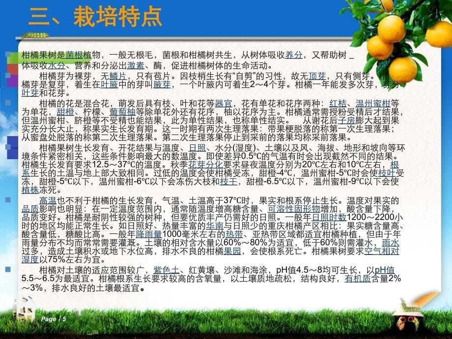 柑橘课件_第5页