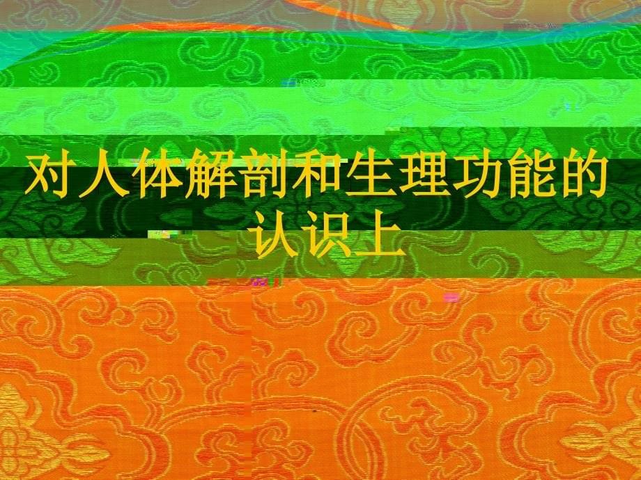 藏医、中医基础理论及临床诊疗比较_第5页