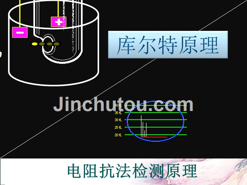 血液分析仪原理及血常规报告审核_第2页