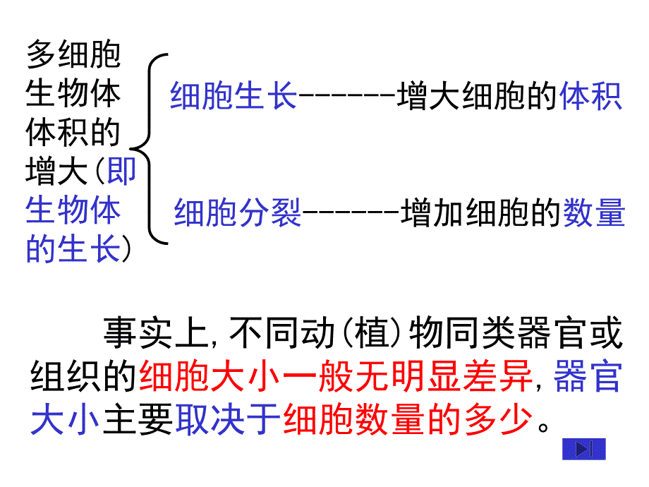 细胞的增殖优质课课件_第4页