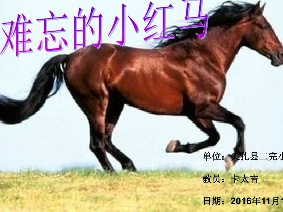 难忘的小红马_第1页