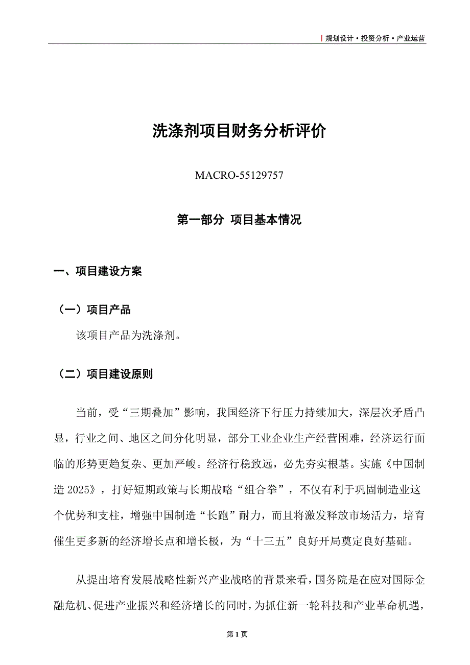 洗涤剂项目财务分析评价_第1页