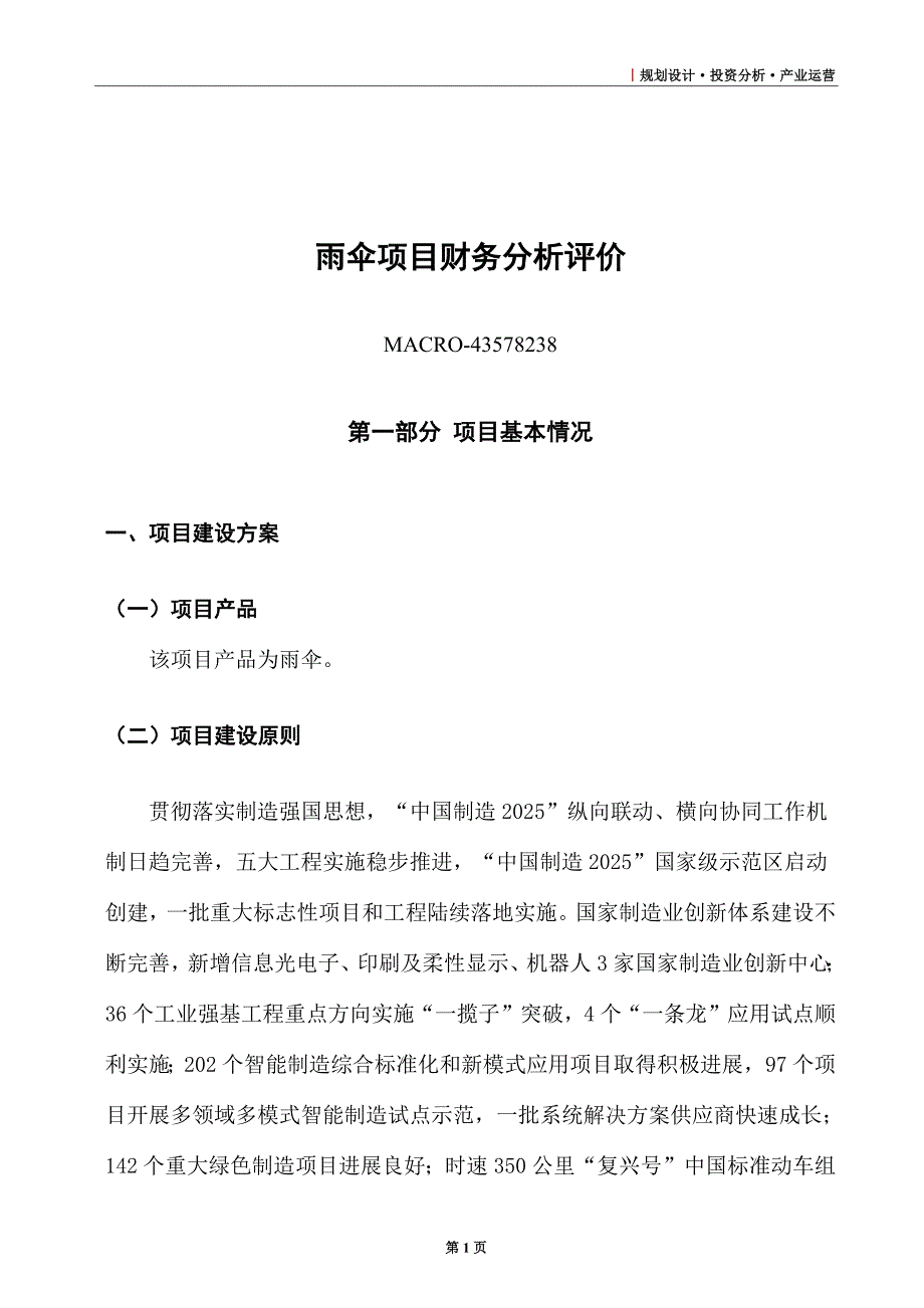 雨伞项目财务分析评价_第1页