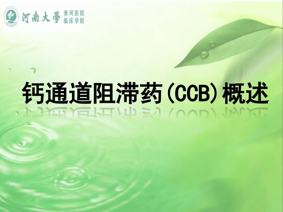 钙通道阻滞剂ccb概述_第1页