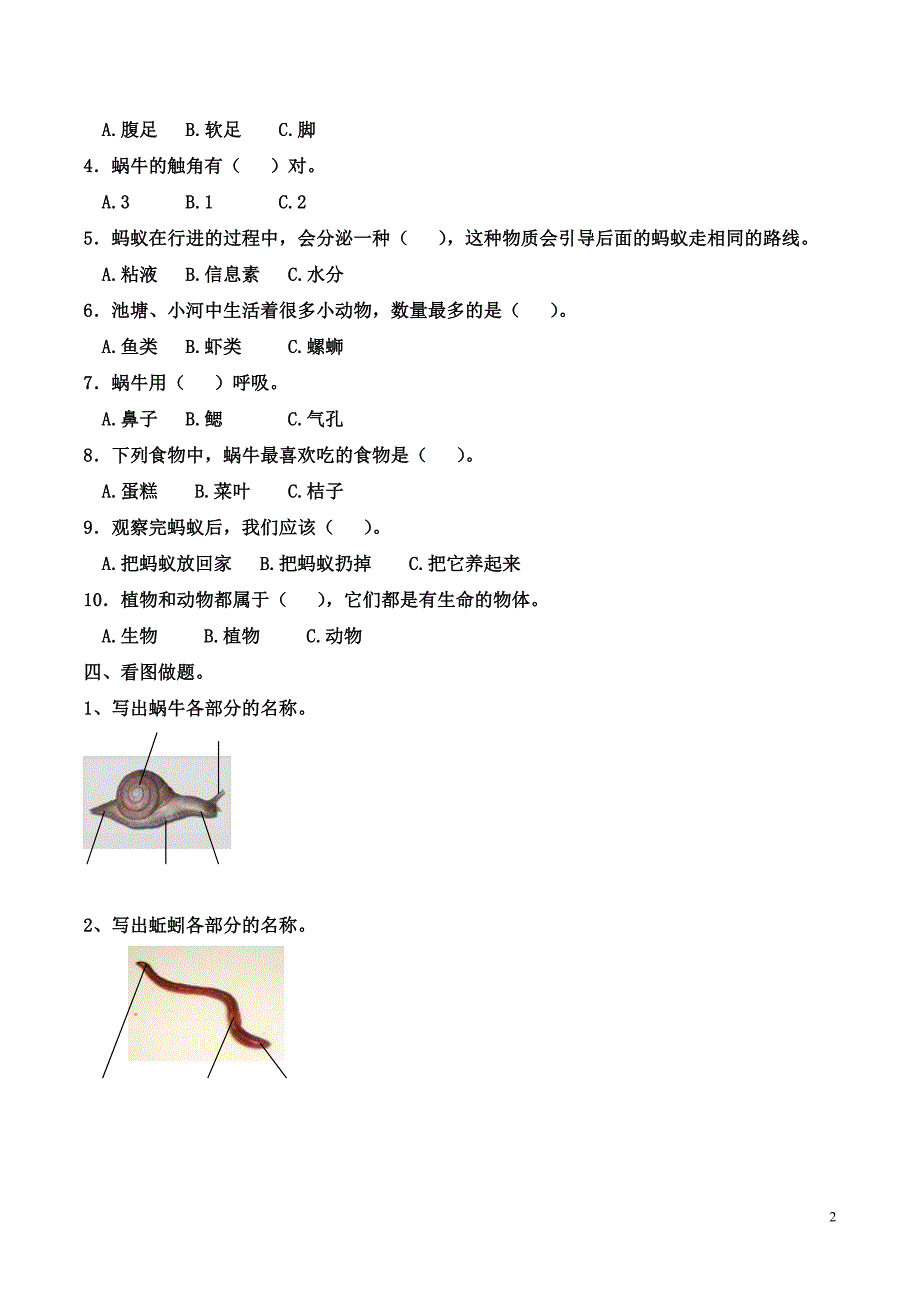 教科版三年级上册科学第二单元动物测试题_第2页