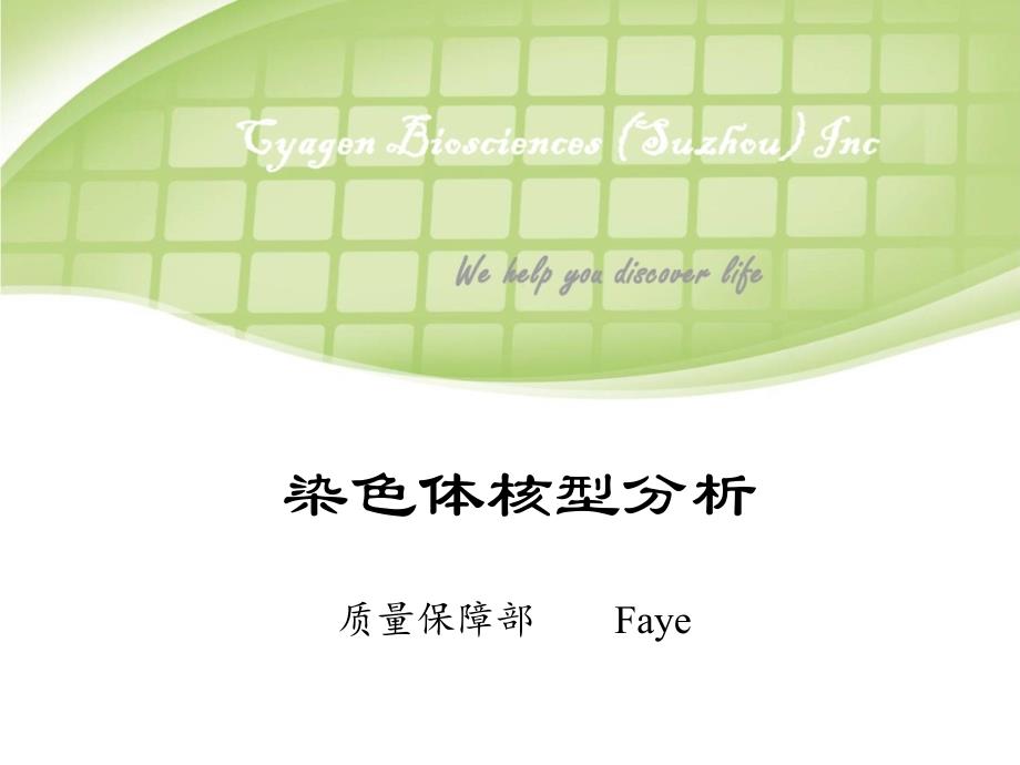 染色体核型分析_第1页